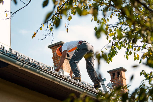 Best Rubber Roofing (EPDM, TPO)  in Honesdale, PA